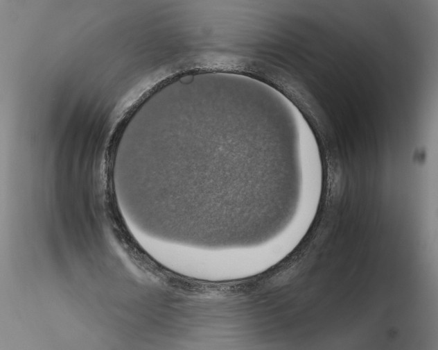 X0000115620674200912221229