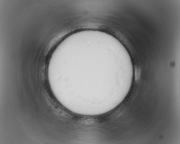X0000115620675200912221229