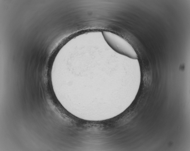 X0000115620676200912221229