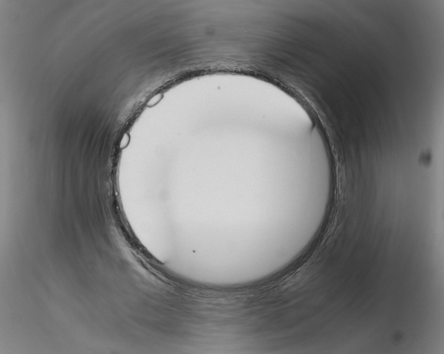 X0000115620677200912221229