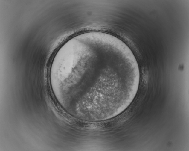 X0000115620678200912221229