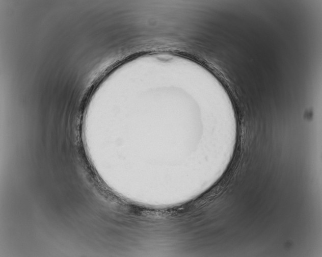 X0000115620679200912221228