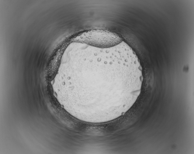 X0000115620680200912221228