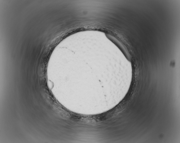 X0000115620681200912221228
