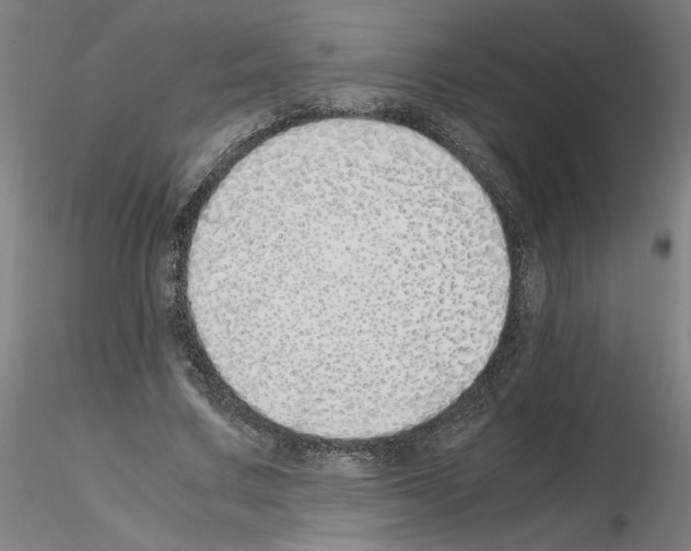 X0000115620683200912221228