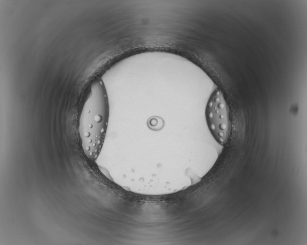X0000115620684200912221228