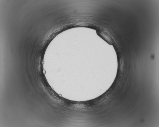 X0000115620685200912221228