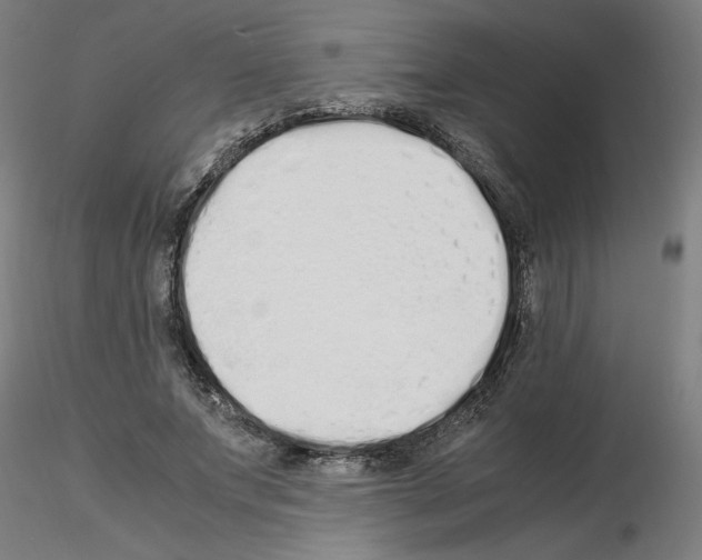 X0000115620687200912221228