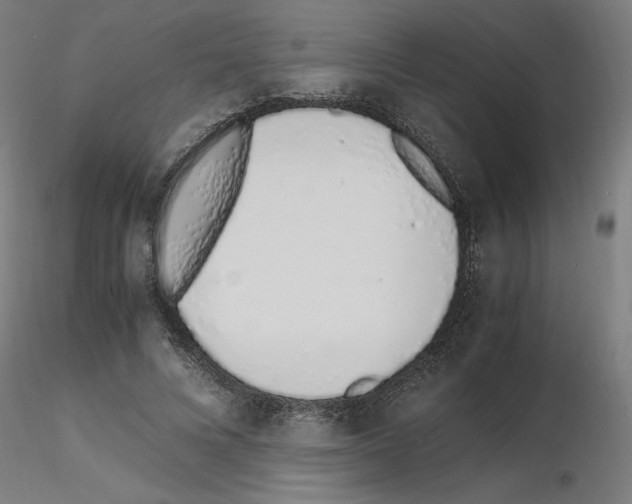 X0000115620688200912221228