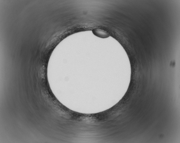 X0000115620689200912221228