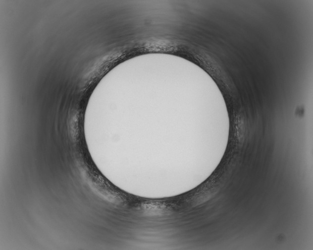 X0000115620690200912221228