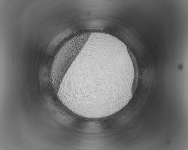 X0000115620692200912221228