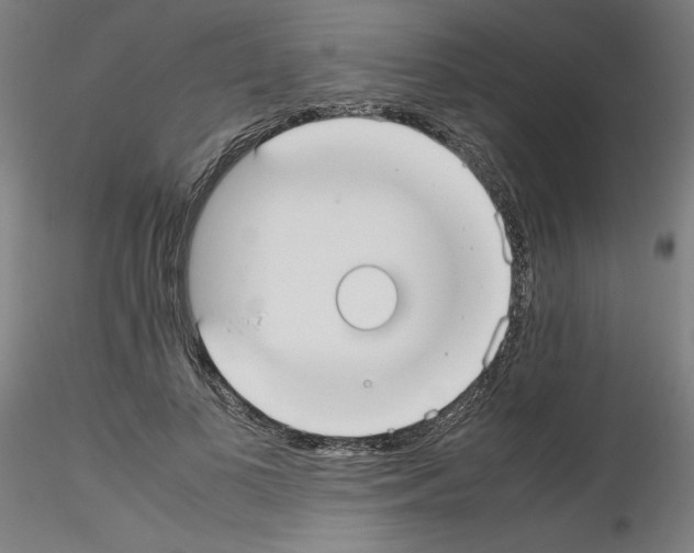 X0000115620693200912221228
