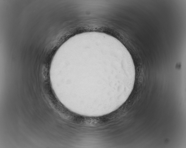 X0000115620695200912221228