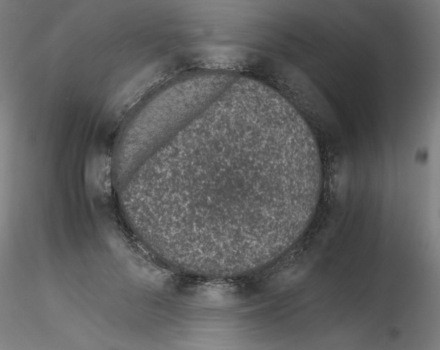 X0000115620696200912221228