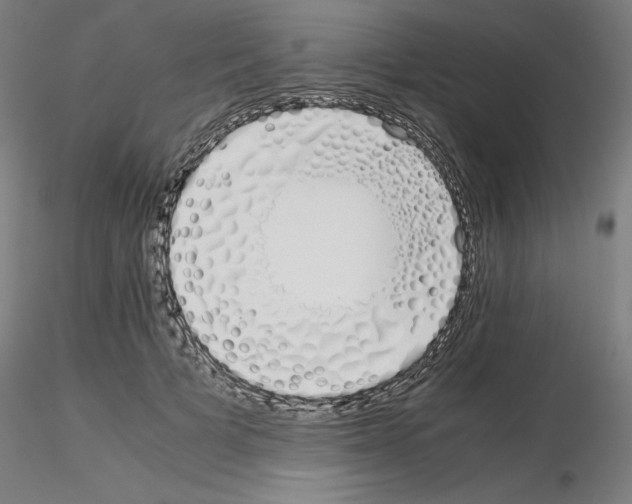 X0000115620697200912221228