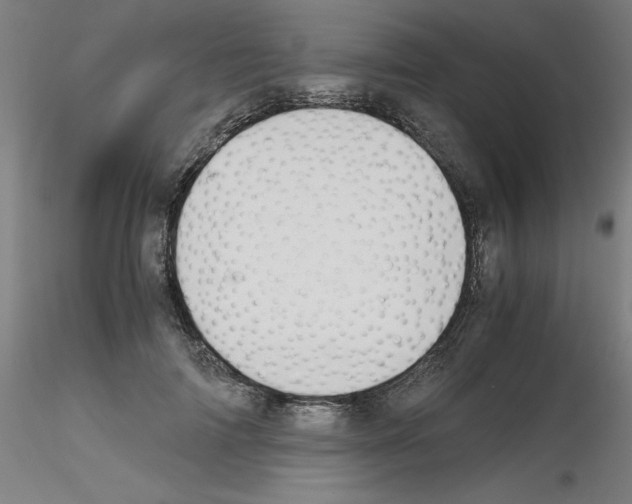 X0000115620698200912221228