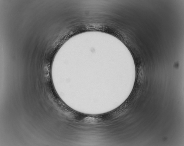 X0000115620699200912221228