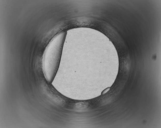 X0000115620700200912221228