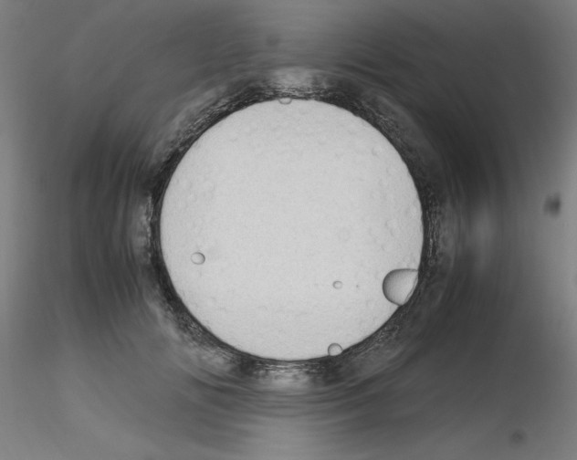 X0000115620702200912221228