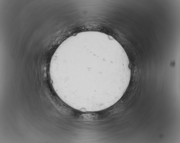X0000115620703200912221228