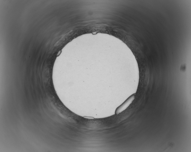 X0000115620704200912221228