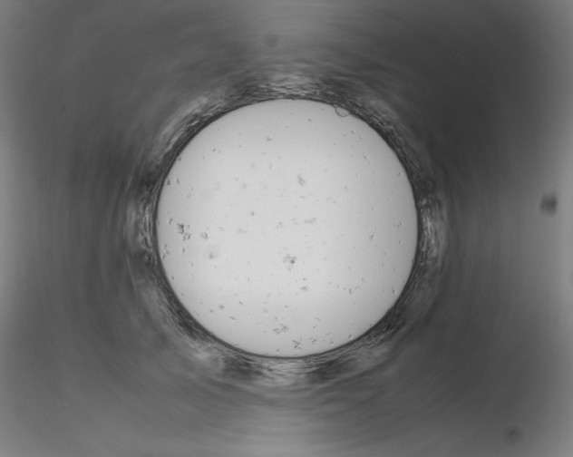 X0000115620705200912221228