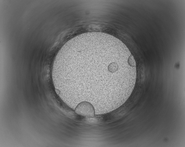 X0000115620706200912221228