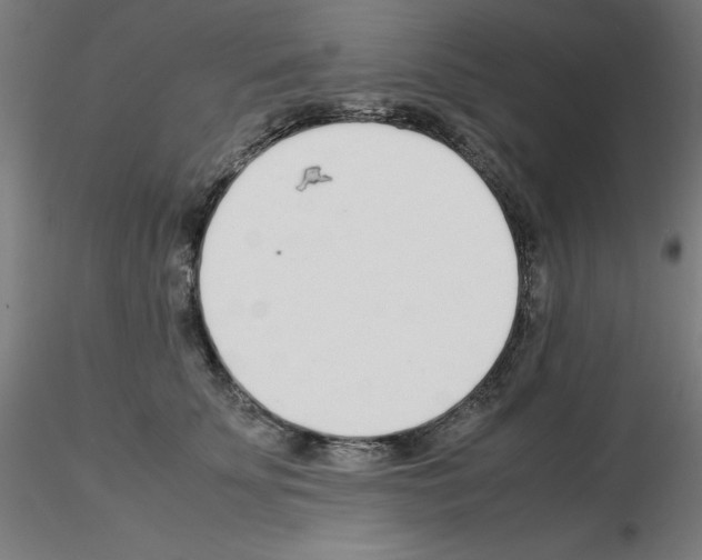 X0000115620707200912221228