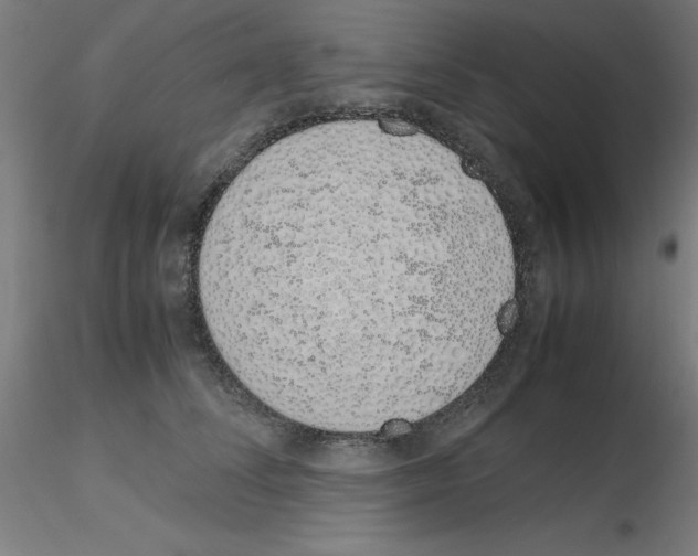 X0000115620708200912221228