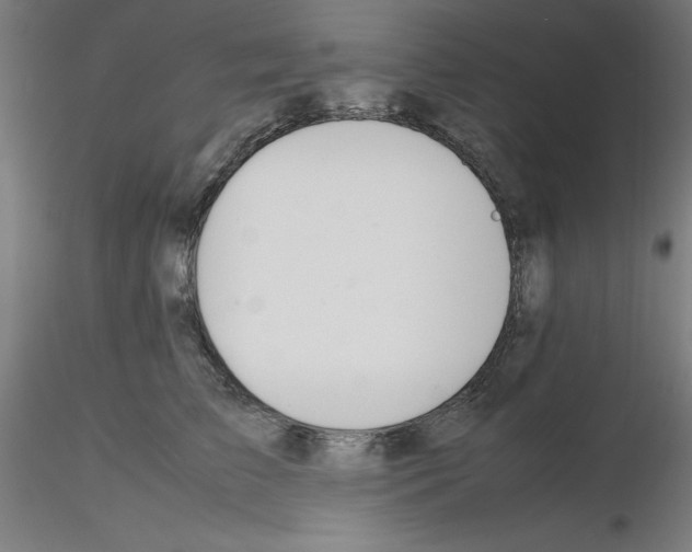 X0000115620709200912221228