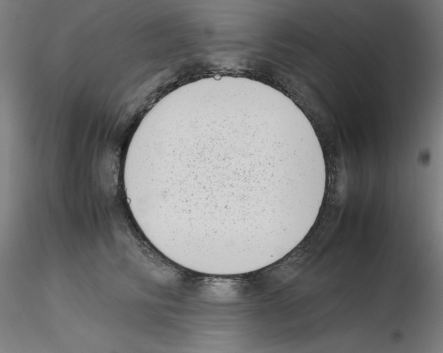 X0000115620710200912221228