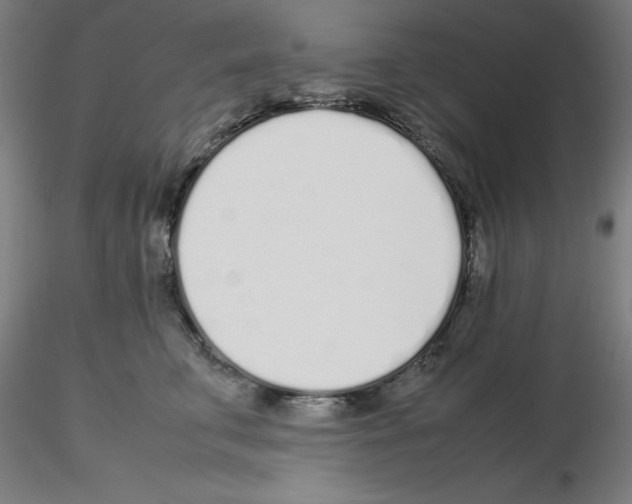 X0000115620711200912221228