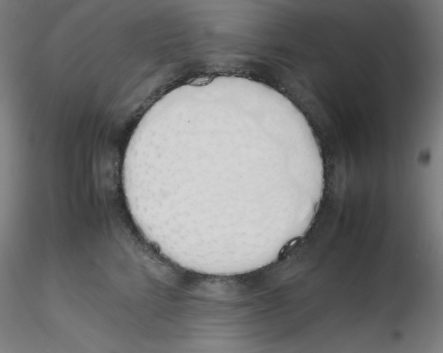 X0000115620712200912221228