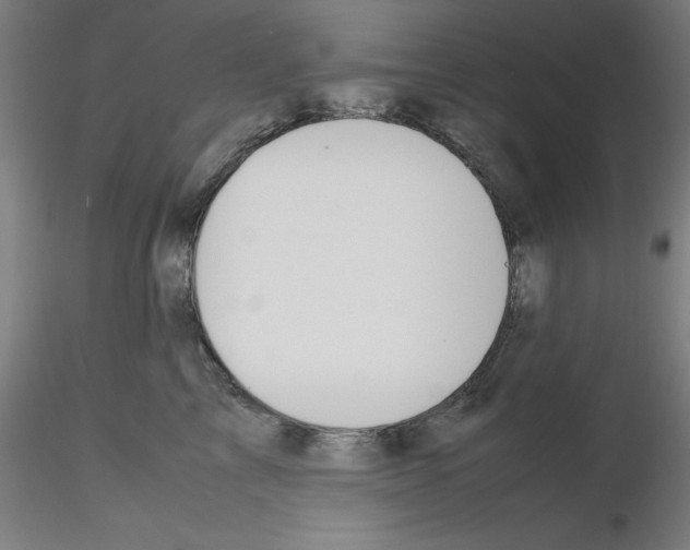 X0000115620713200912221228