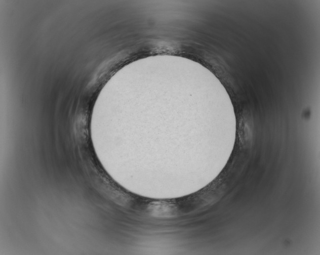 X0000115620714200912221228