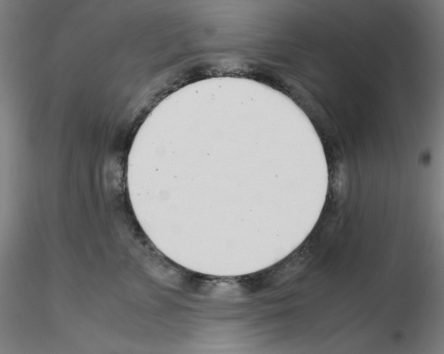 X0000115620715200912221228