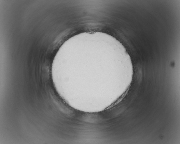 X0000115620716200912221228