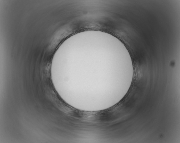 X0000115620717200912221228