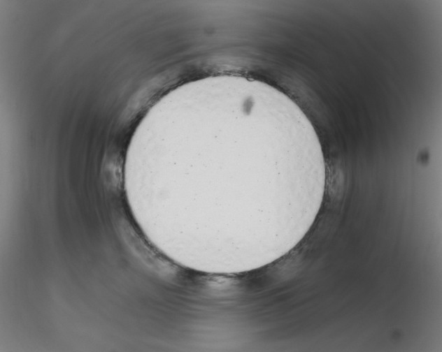 X0000115620718200912221228