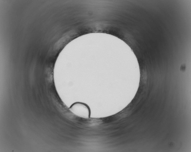 X0000115620719200912221228
