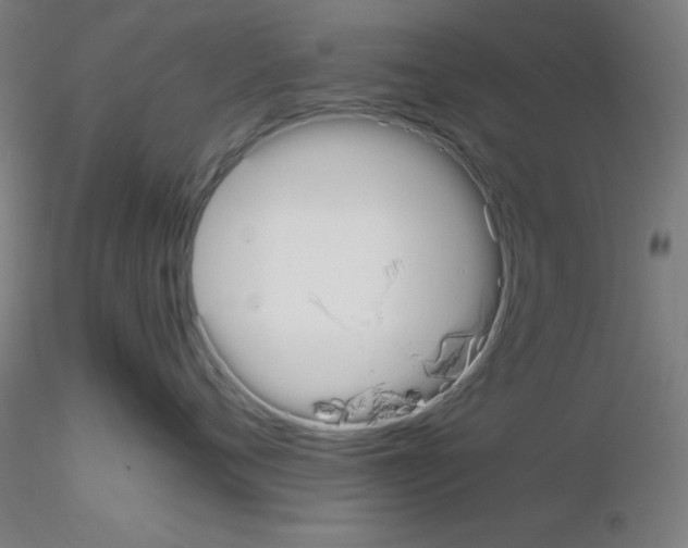 X0000115620720200912221228