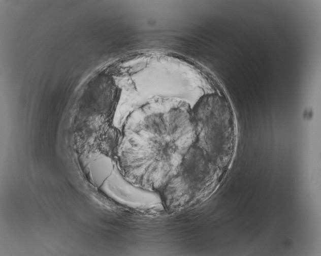 X0000115620721200912221227