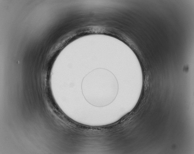X0000115620722200912221227