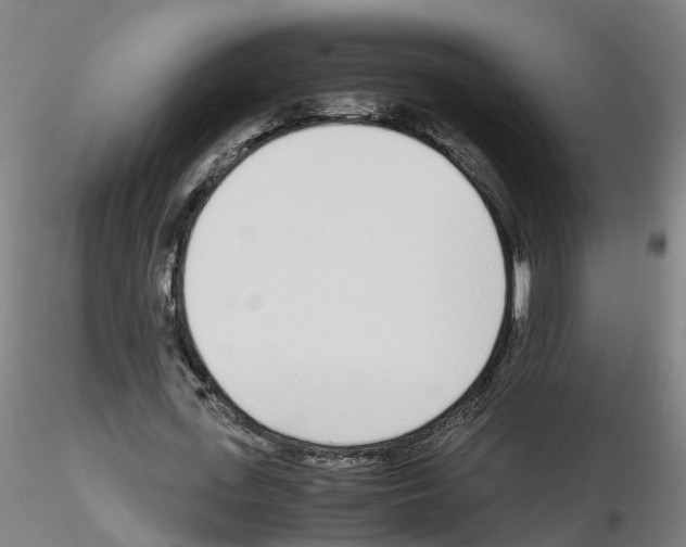 X0000115620723200912221227