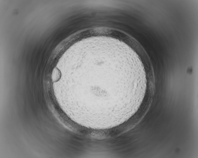 X0000115620725200912221227
