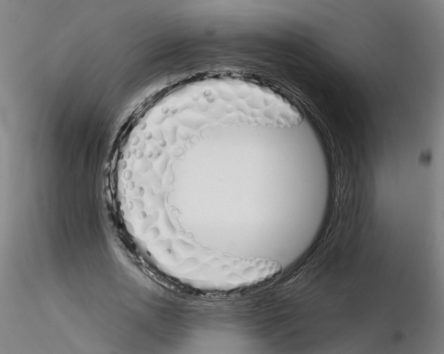 X0000115620726200912221227
