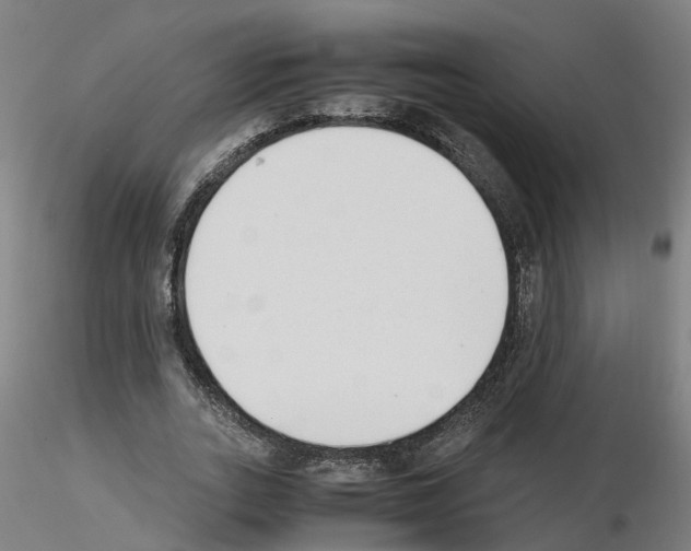 X0000115620727200912221227