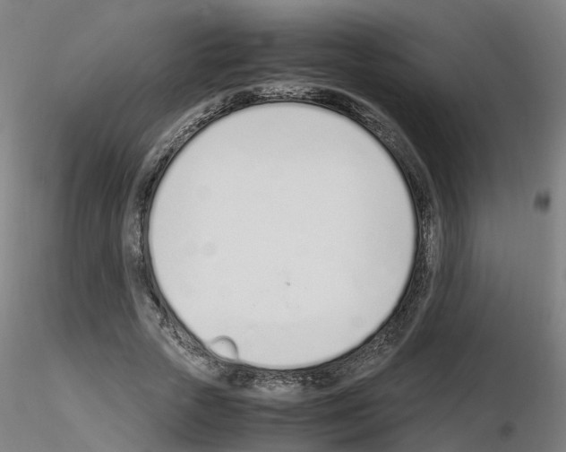 X0000115620729200912221227
