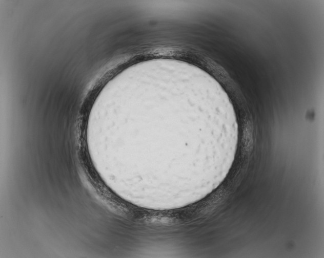 X0000115620730200912221227